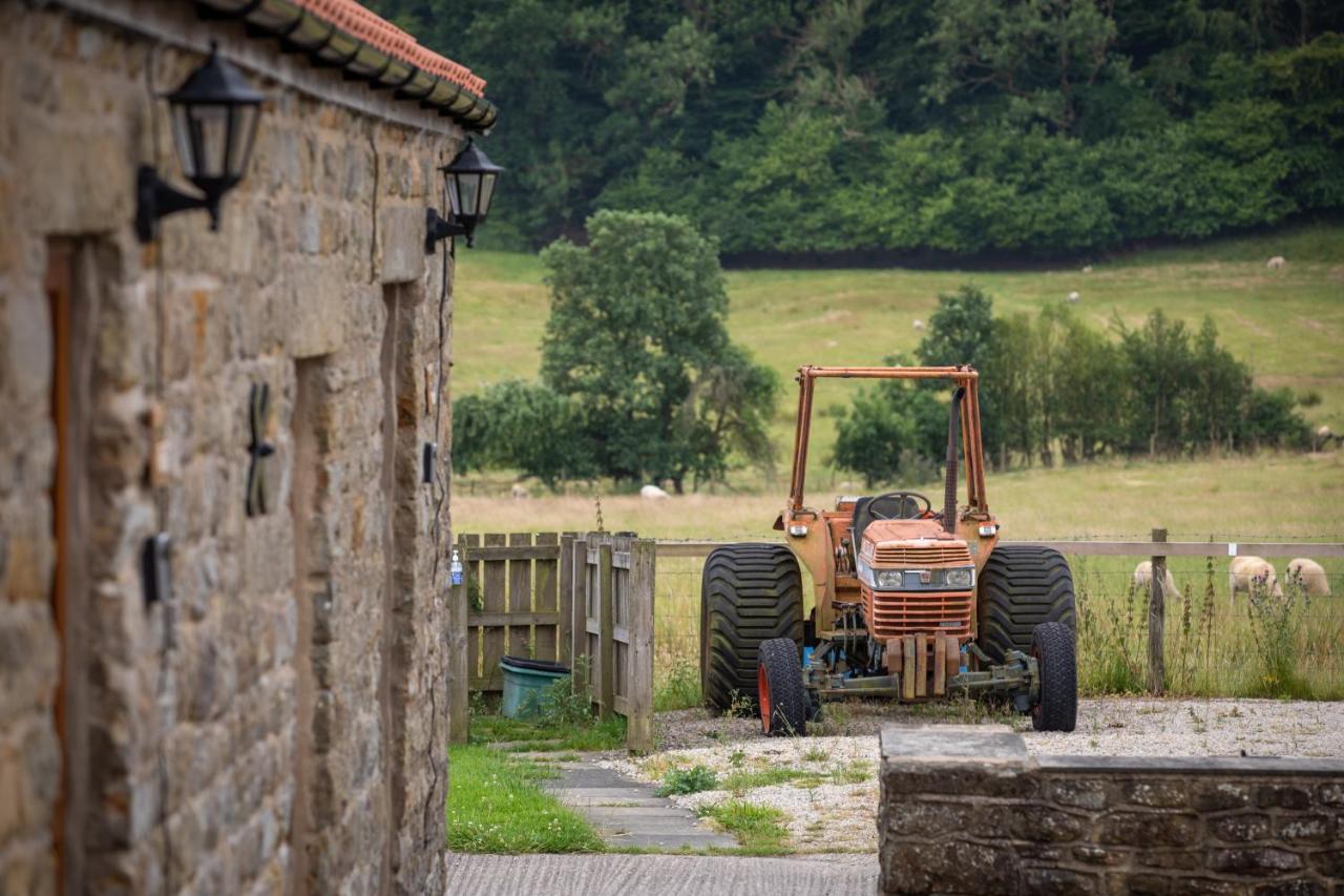 Villa Rawcliffe House Farm Pickering Exterior foto
