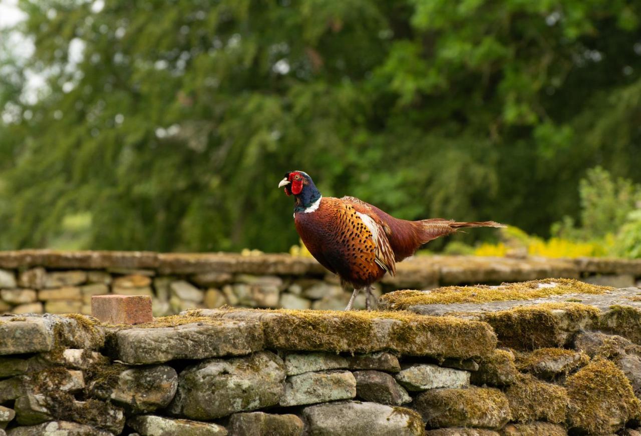 Villa Rawcliffe House Farm Pickering Exterior foto