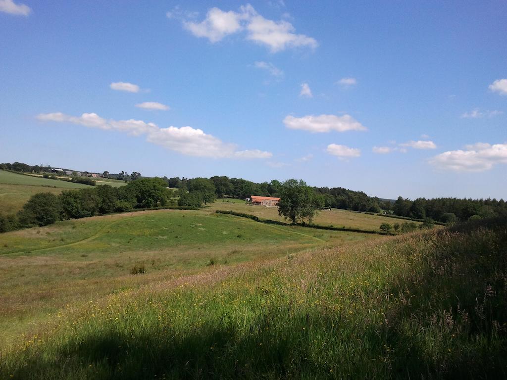Villa Rawcliffe House Farm Pickering Exterior foto