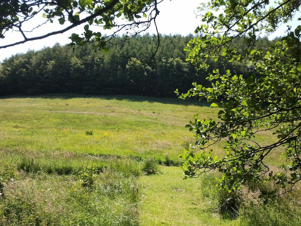 Villa Rawcliffe House Farm Pickering Exterior foto